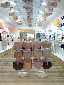 閨秘內(nèi)衣品牌市場(chǎng)版圖持續(xù)擴(kuò)張，山西再添新加盟店彰顯行業(yè)吸引力